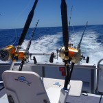 Mahi Mahi Charters