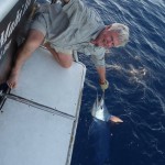 Mahi-Mahi-Charters-Sportfishing