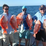 Mahi Mahi Charters - Coral Bay - Red Emperor