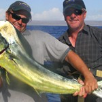 Mahi-Mahi-Charters-Sportfishing