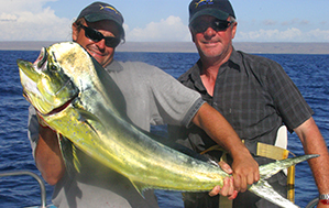 Fish Of Western Australia Chart